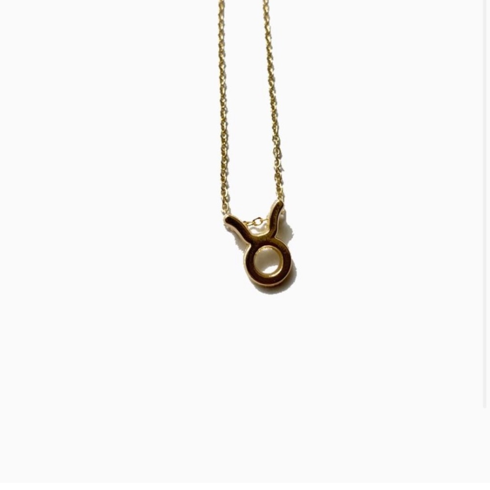Taurus zodiac necklace